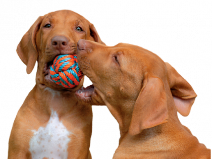 printing binghamton ny